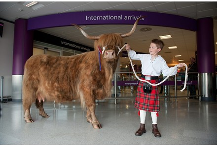 Royal Highland Show 2017